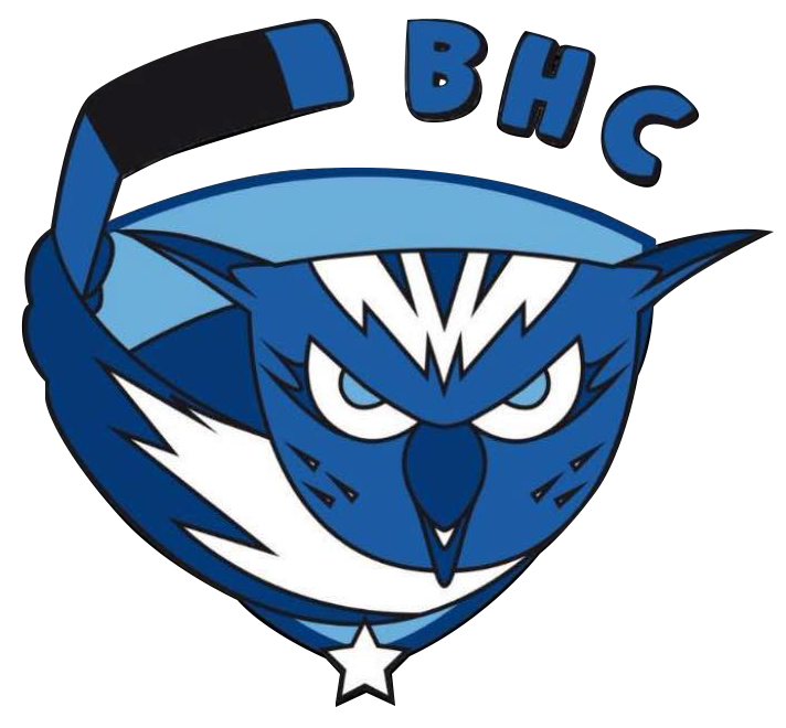 Brive Hockey Club