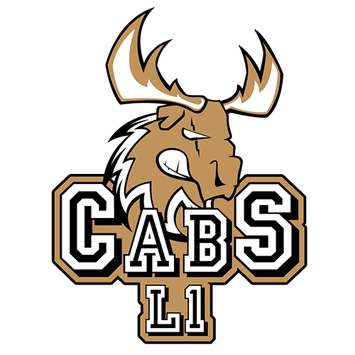 loisirs 1 cabs