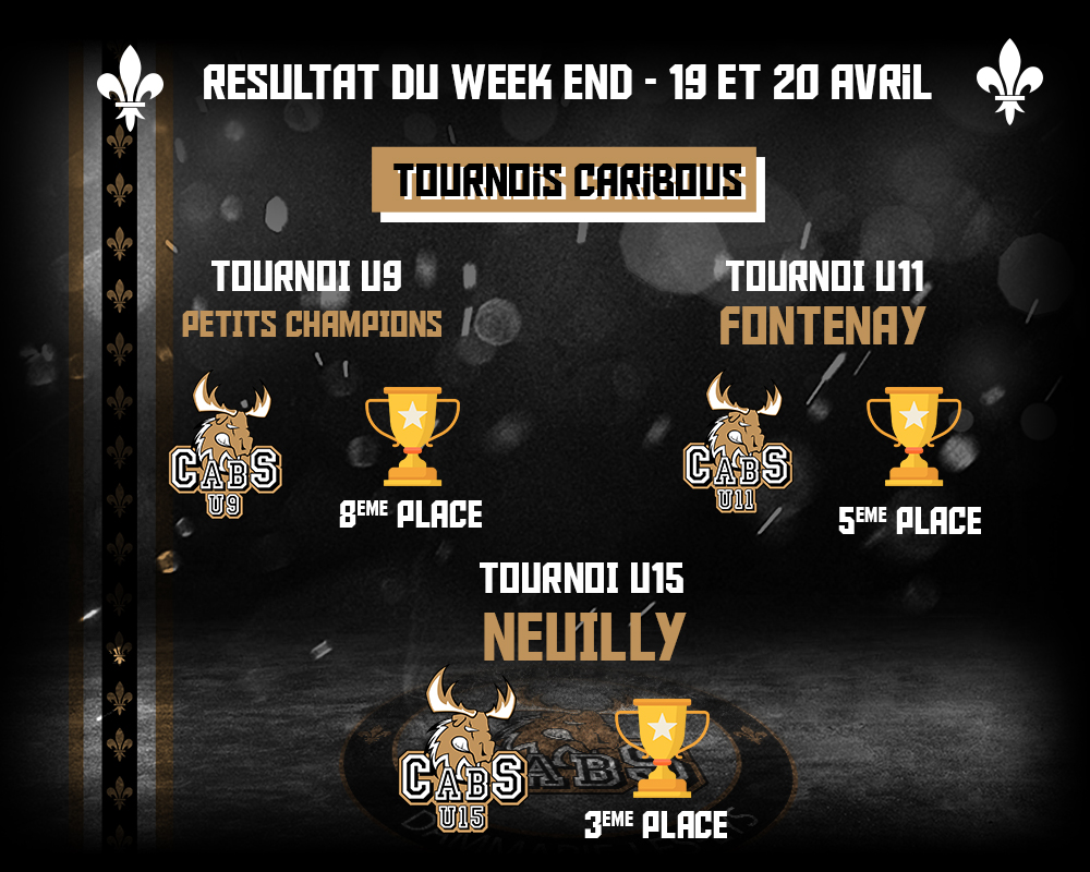 résultats hockey sur glace dammarie les lys